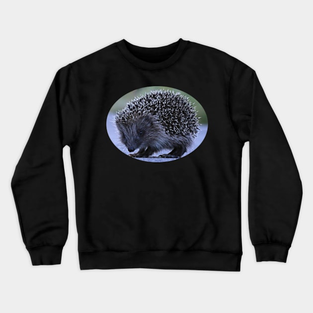 HEDGEHOG Crewneck Sweatshirt by FromBerlinGift